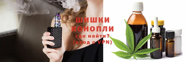 хмурый Бородино