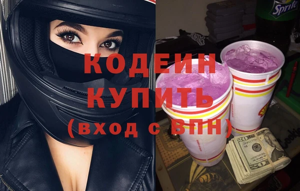 хмурый Бородино