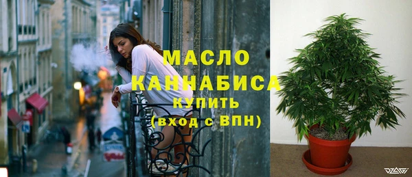 хмурый Бородино