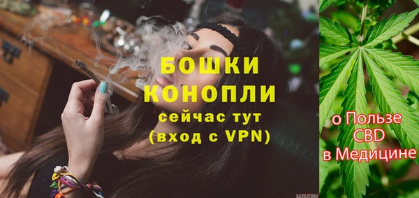 хмурый Бородино