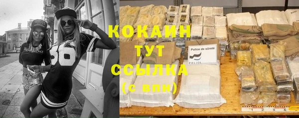 винт Бронницы