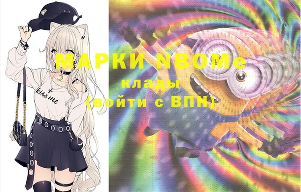 хмурый Бородино