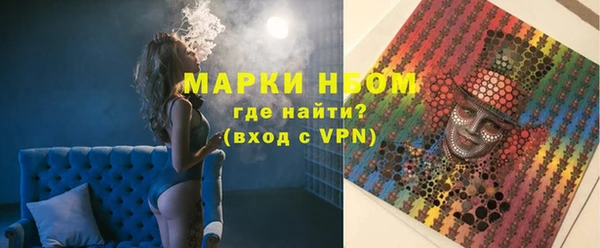 хмурый Бородино