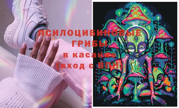 хмурый Бородино