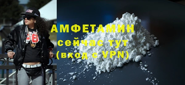 хмурый Бородино