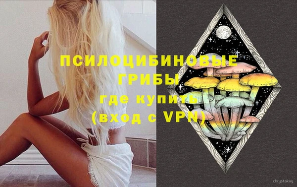 хмурый Бородино