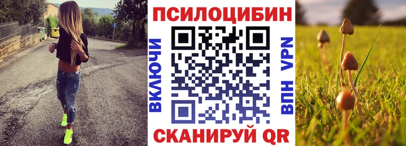 Галлюциногенные грибы Psilocybe  Вичуга 
